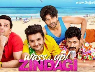Wassup Zindagi (2017) Gujarati 720p HEVC WEB-HDRip x265 AAC DD 2.0 – 600 MB