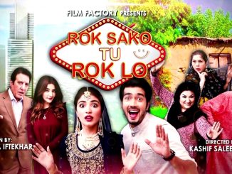 Rok Sako To Rok Lo (2018) 720p HEVC Urdu (Hindi) WEB-HDRip x265 400MB