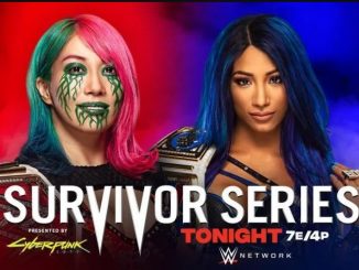 WWE Survivor Series (2020) 720p HEVC WEB-HD x265 800MB