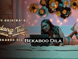 Bekaboo Dil (2021) Hindi 720p | 480p WEB-HD x264 500MB | 250MB